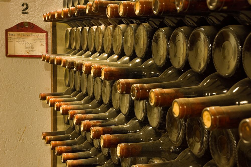 Dust-covered bottles of port dated 1983